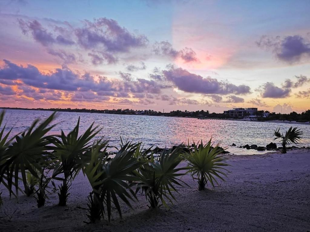 Ferienwohnung Tulsayab Luxury Development Tulum Exterior foto